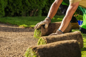 Gartenarbeiten